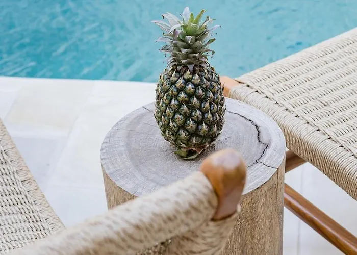 Villa 3br Luxury + Gym, Sauna And Wellness Free Canggu
