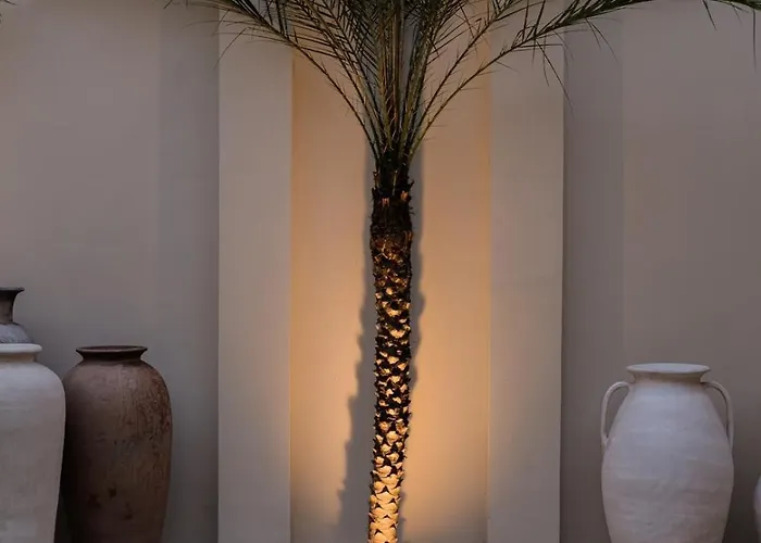 3br Luxury + Gym, Sauna And Wellness Free Villa