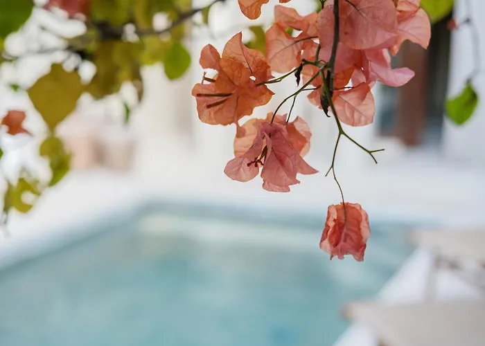 Villa 3br Luxury + Gym, Sauna And Wellness Free